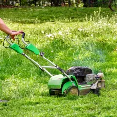 Od kiedy zakaz używania kosiarek spalinowych? Sprawdź ważne przepisy