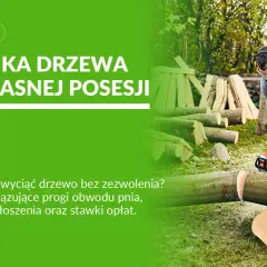 Mężczyzna w okularach i słuchawkach tnie piłą drzewo na trawiastym podwórzu.