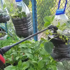 Jak zrobić doniczkę z butelki plastikowej - prosty sposób na recykling