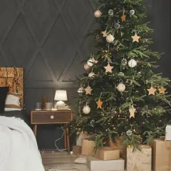 Jak często podlewać choinkę w doniczce, aby uniknąć jej uschnięcia?