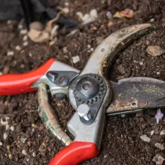 Zardzewiała łopatka ogrodnicza z czerwonymi uchwytami leży na ziemi, gotowa do pracy.