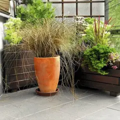 Piękne trawy na balkonie aranżacje. Kompozycja traw ozdobnych w donicach tworzy przytulny zakątek.