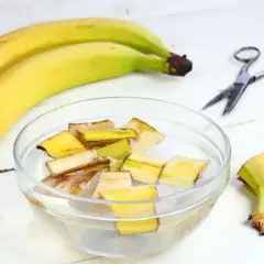 Kawałki skórek bananów w wodzie, przygotowywane jako nawóz z banana. Obok leżą banany i nożyczki.