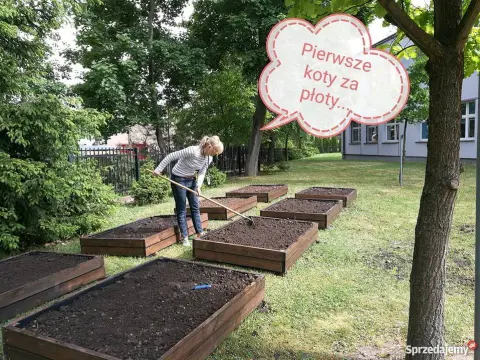 Ile kosztuje tona ziemi pod trawnik? Sprawdź ceny i uniknij przepłacania!