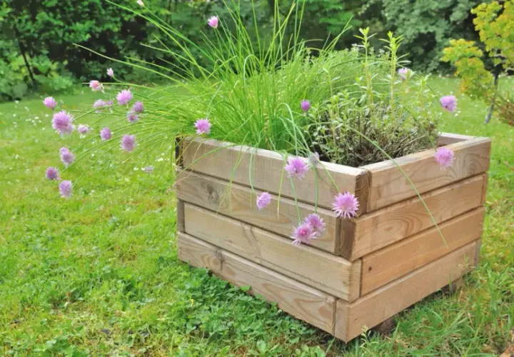 Z czego zrobić donice ogrodowe? Najlepsze materiały i pomysły DIY