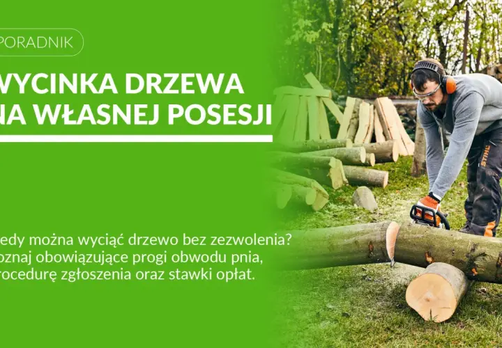 Mężczyzna w okularach i słuchawkach tnie piłą drzewo na trawiastym podwórzu.