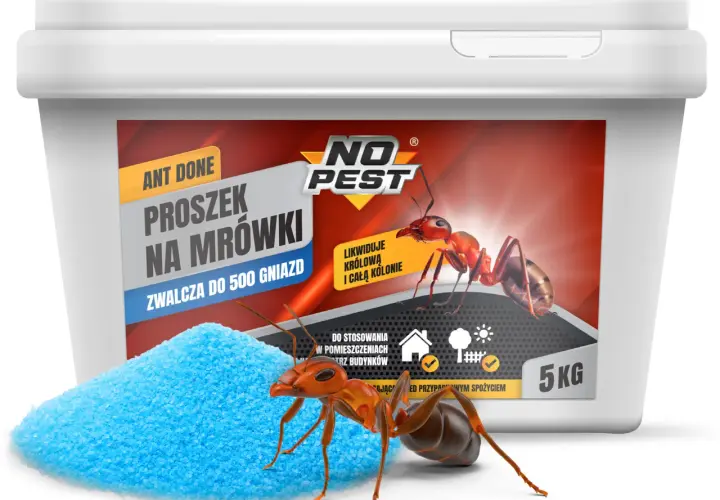 Pułapka na mrówki domowa w proszku, zwalcza królową i całą kolonię. Skuteczny środek na mrówki w opakowaniu 5kg.