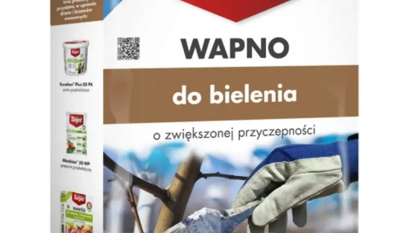 Czy wapno hydratyzowane szkodzi roślinom? Zastosowanie i skutki w ogrodzie