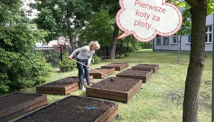 Ile kosztuje tona ziemi pod trawnik? Sprawdź ceny i uniknij przepłacania!