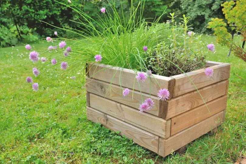Z czego zrobić donice ogrodowe? Najlepsze materiały i pomysły DIY