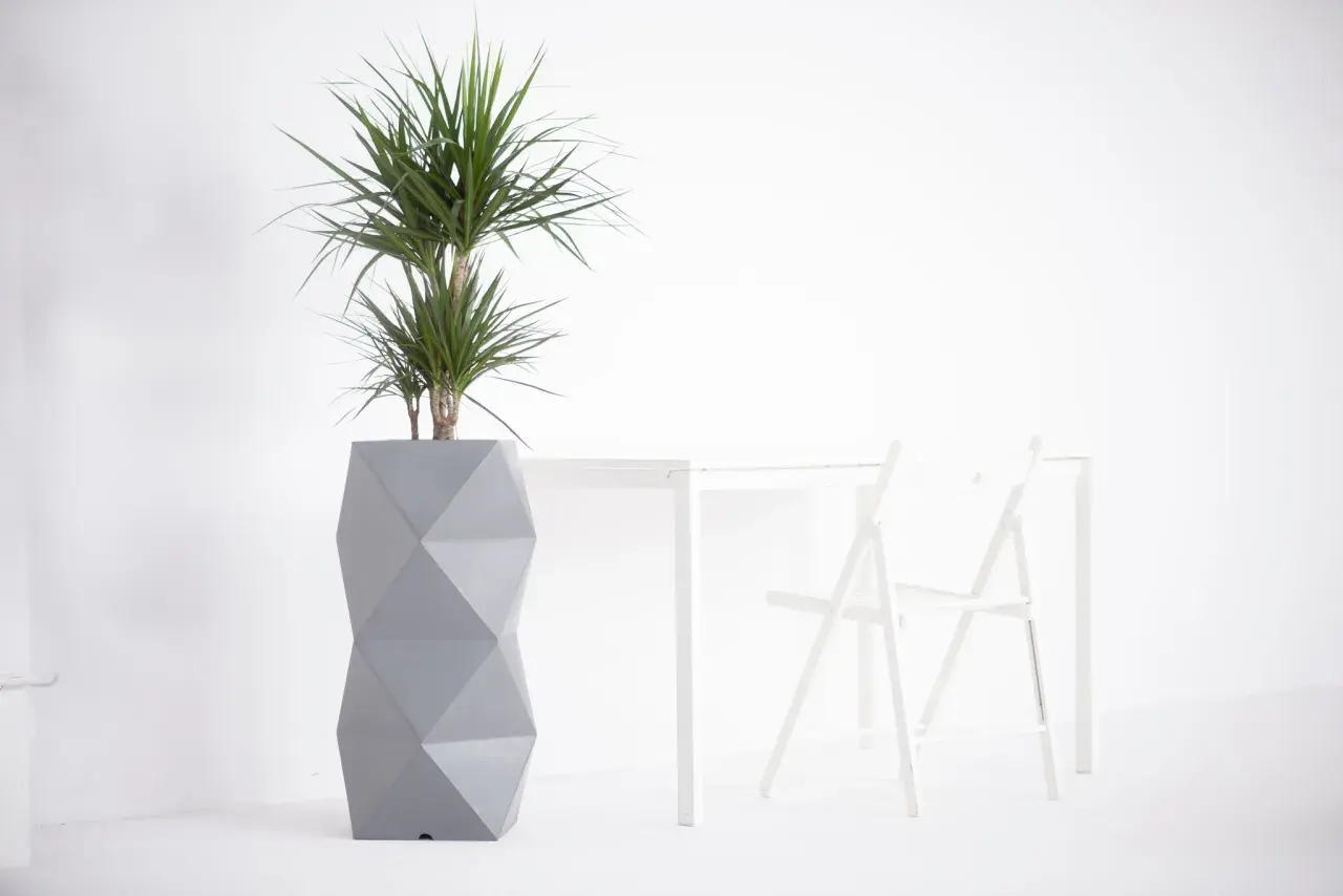 Nowoczesna, geometryczna donica idealnie pasuje do juki domowej, tworząc stylowy akcent w minimalistycznym wnętrzu.