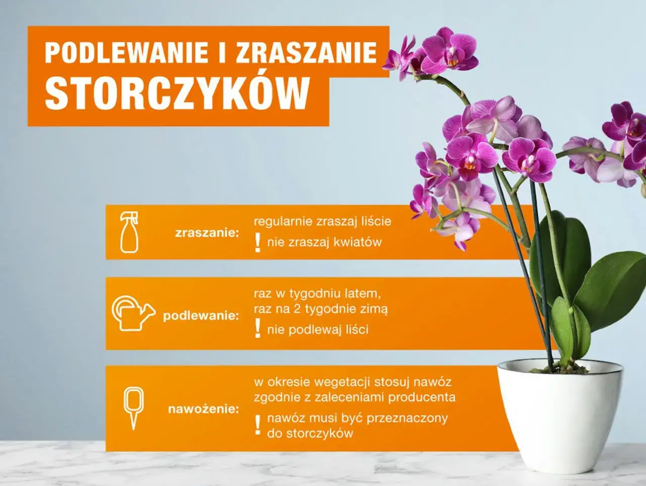 Jak podlewać storczyki? Poradnik: zraszaj liście, podlewaj raz w tygodniu latem, raz na 2 tygodnie zimą. Nie zraszaj kwiatów ani nie podlewaj liści.