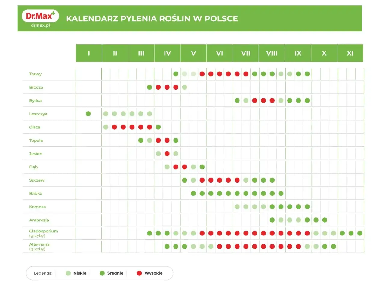 W kwietniu pylą brzozy, olsze, leszczyny, a także trawy. Wykres pokazuje intensywność pylenia.